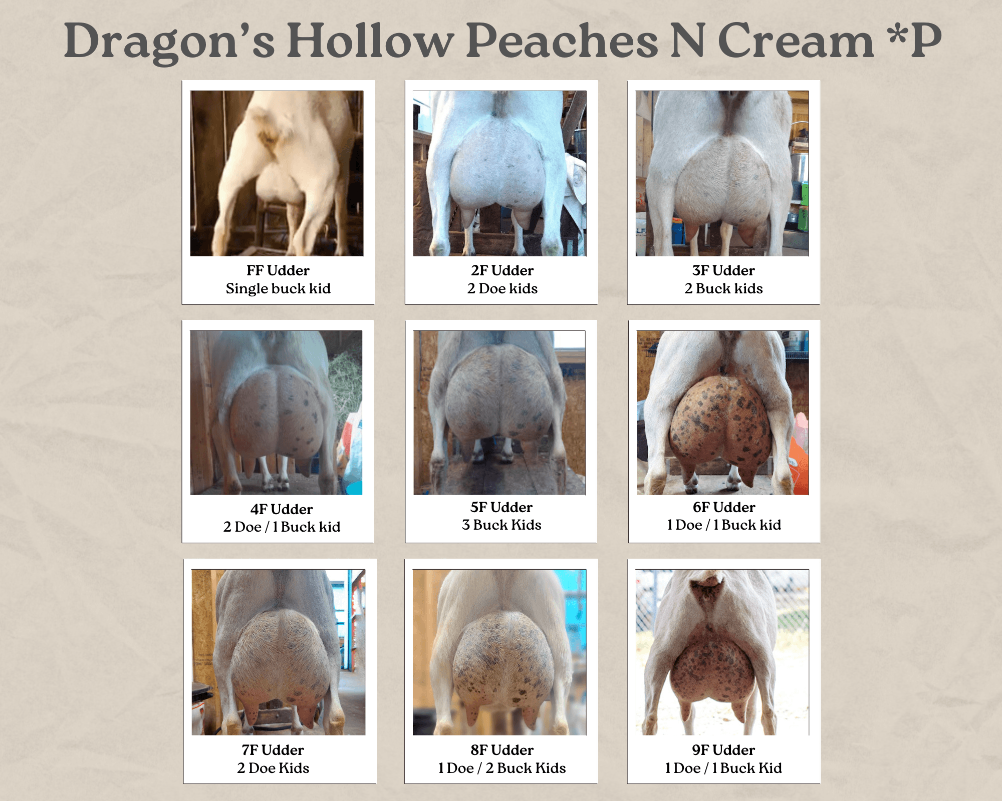 Peaches Udder Collage