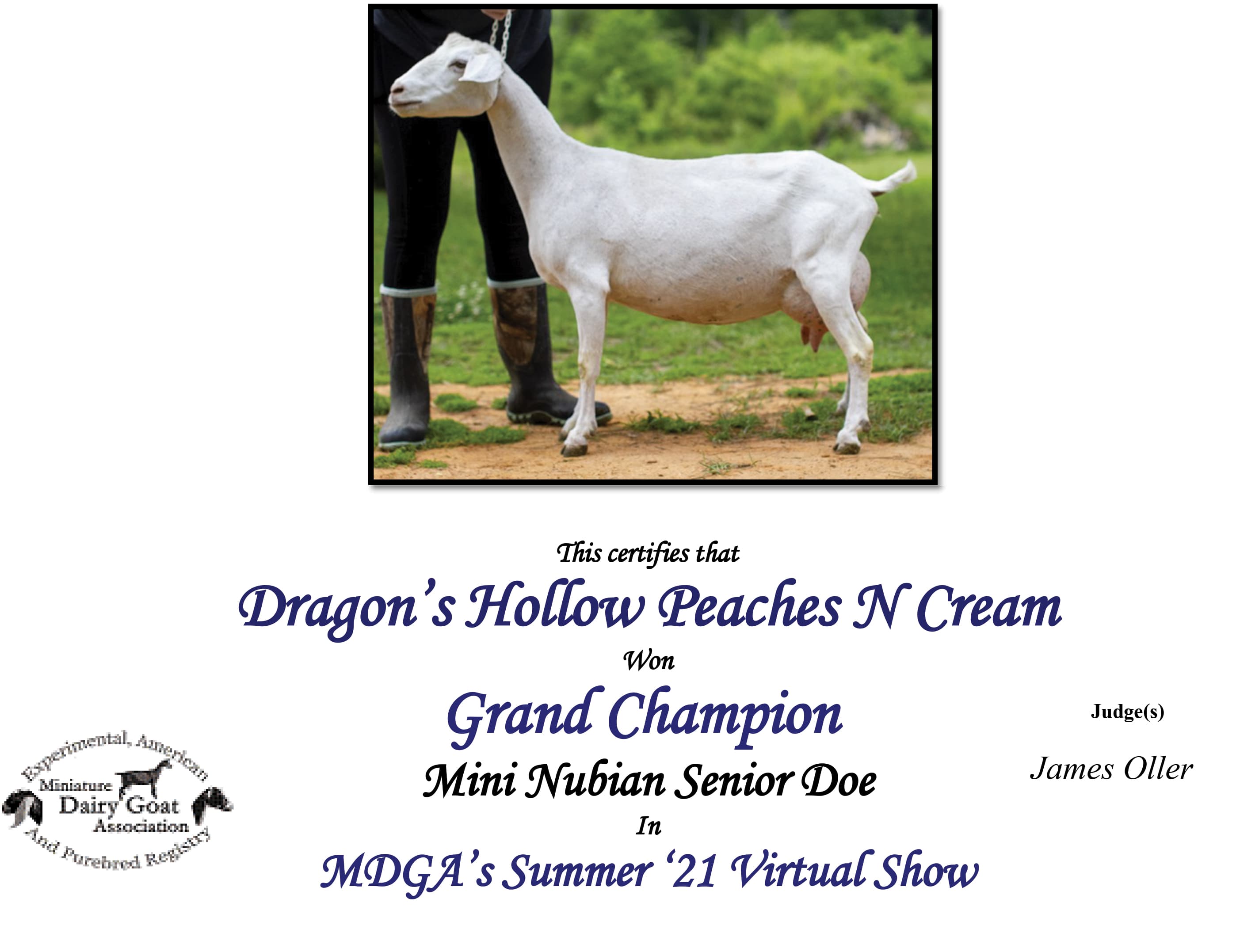 GCH Peaches VShow