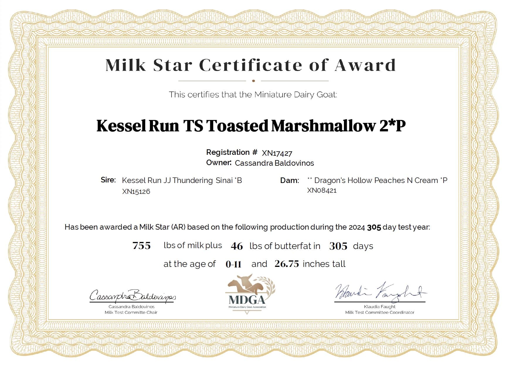 Marshmallow Star Cert 2025
