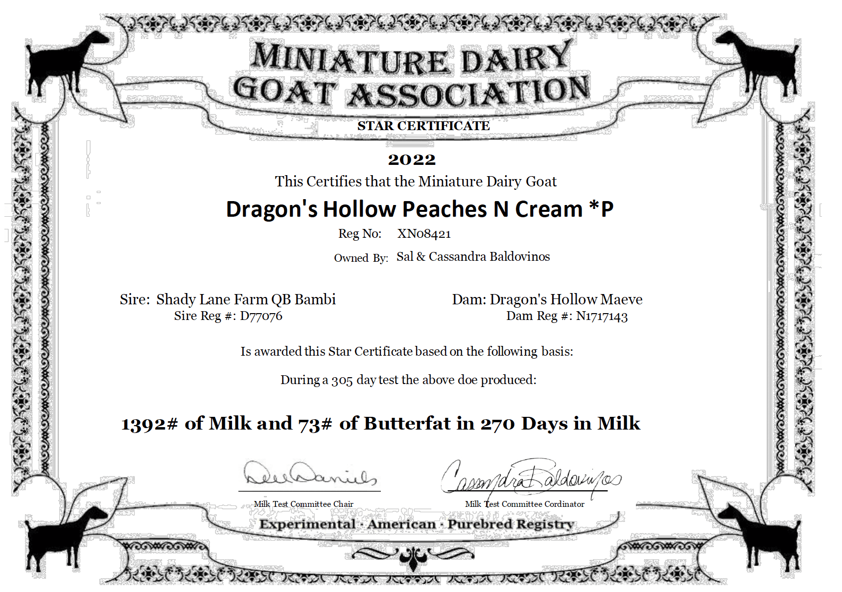 Milk Cert 2022 Peaches